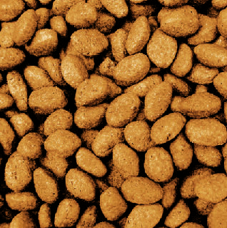 Hypoallergenic Salmon and Potato Dog Food – Scotia Working Dog – 15Kg