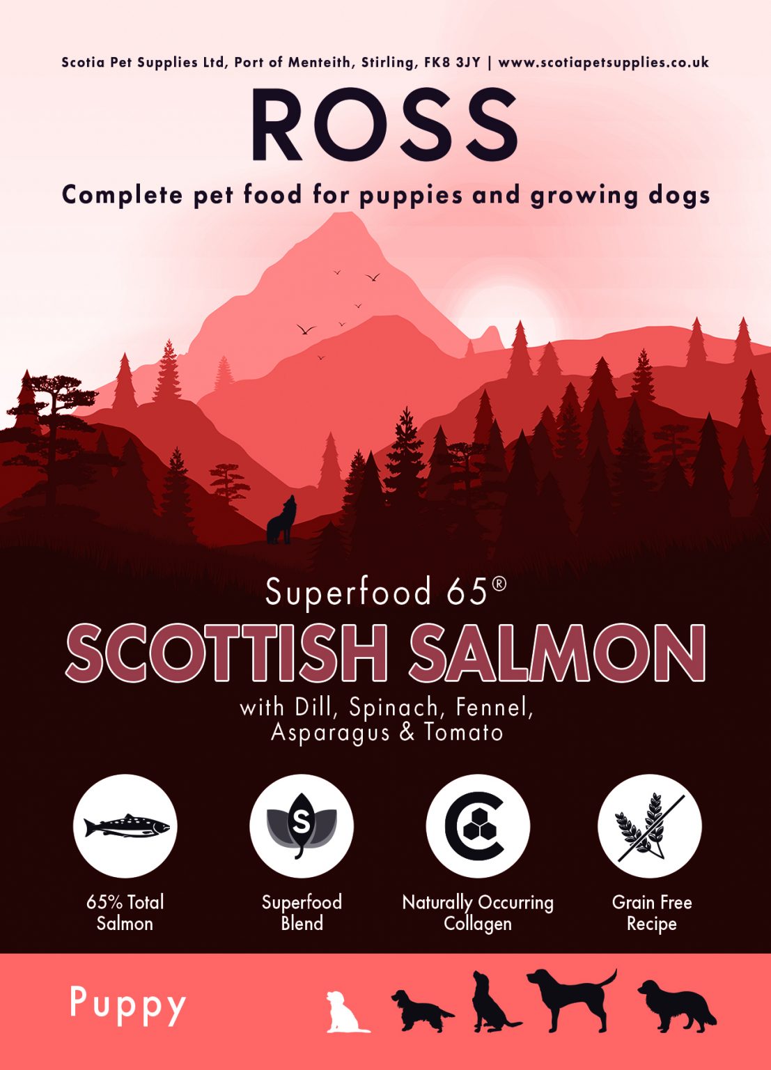 Superfood 65 Scottish Salmon (Puppy)12kg Scotia Pet Supplies