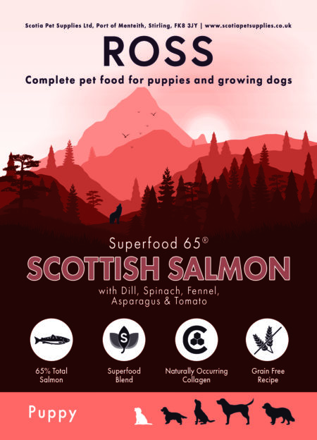 Superfood 65 Scottish Salmon (Puppy)-12kg